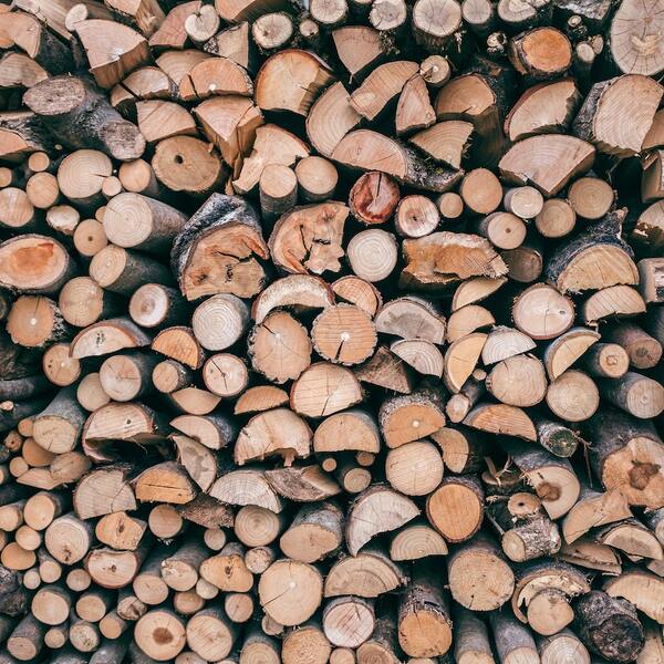 Firewood